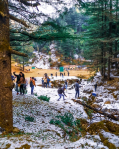 Benog Wildlife Sanctuary