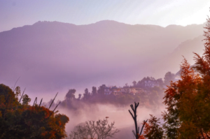 Binsar Wildlife Sanctuary