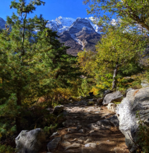 Gangotri National Park