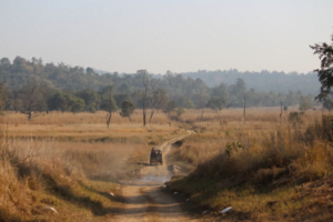 Rajaji National Park