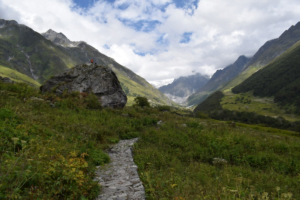 Valley of Flowers