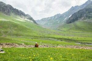 Tarsar Marsar Lake Trek