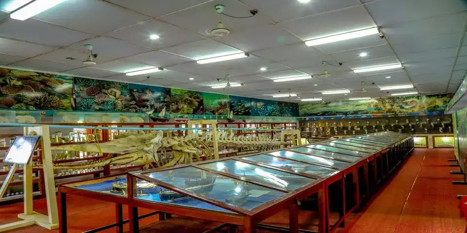 Marine Museum Marine Museum