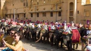 Jaipur’s traditions treasures